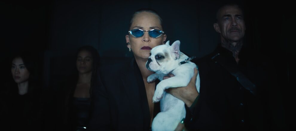 NOBODY 2 Sharon Stone