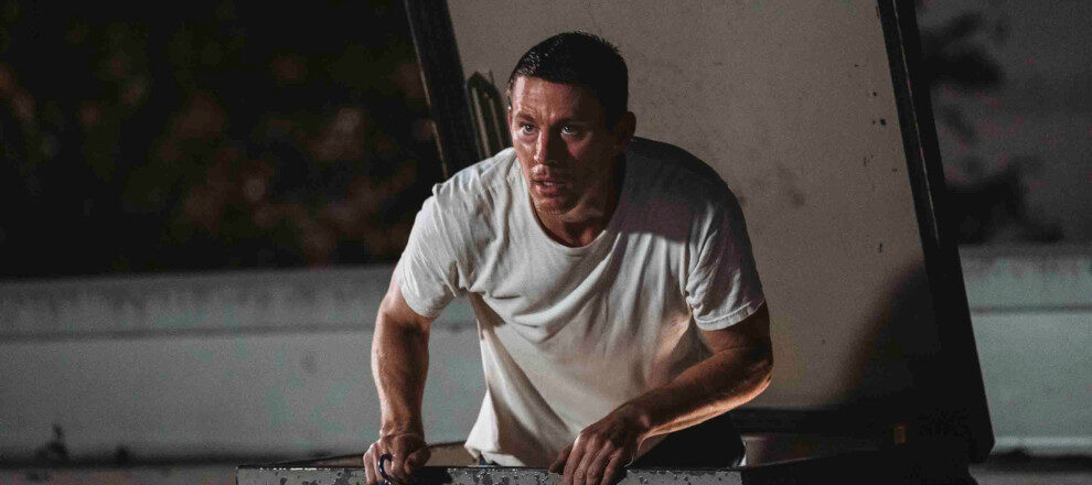 Lopov s krova - Roofman