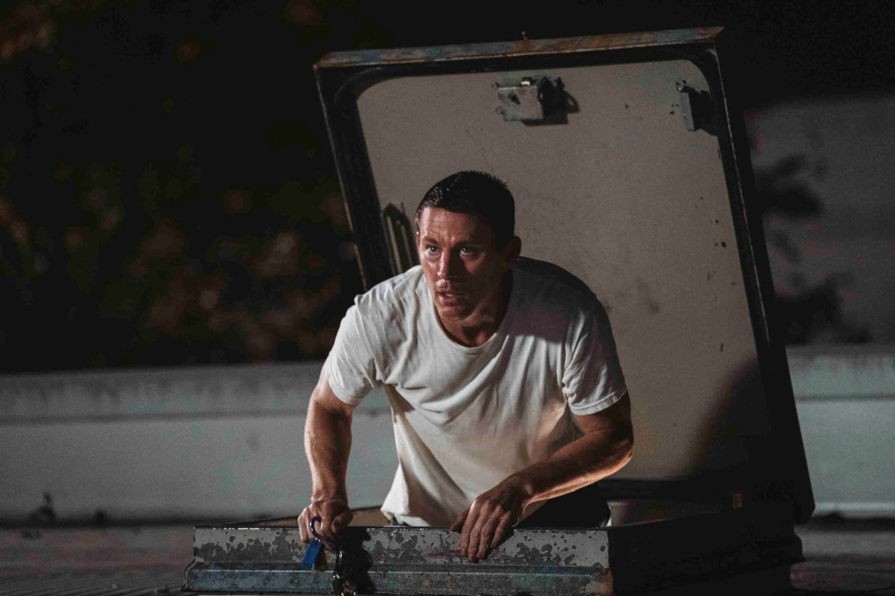 Lopov s krova - Roofman