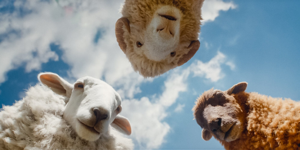 Ovce detektivi - The Sheep Detectives
