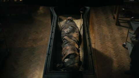 Lee Cronin's the Mummy